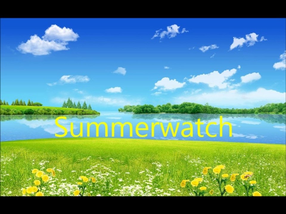 Summerwatch