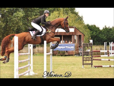 Helene et Week End 94 , Cce Jau Dignac 2014