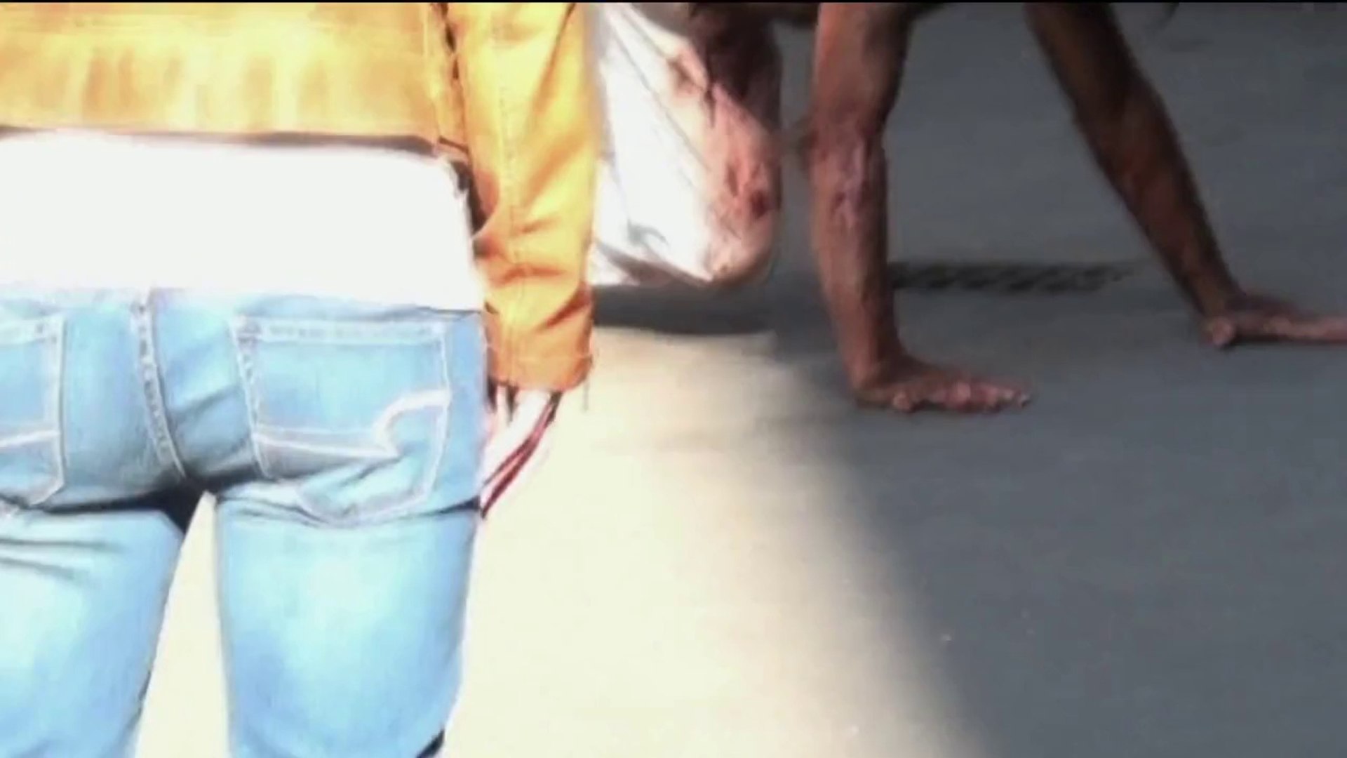 WER (2014) Official Trailer- Horror Thriller