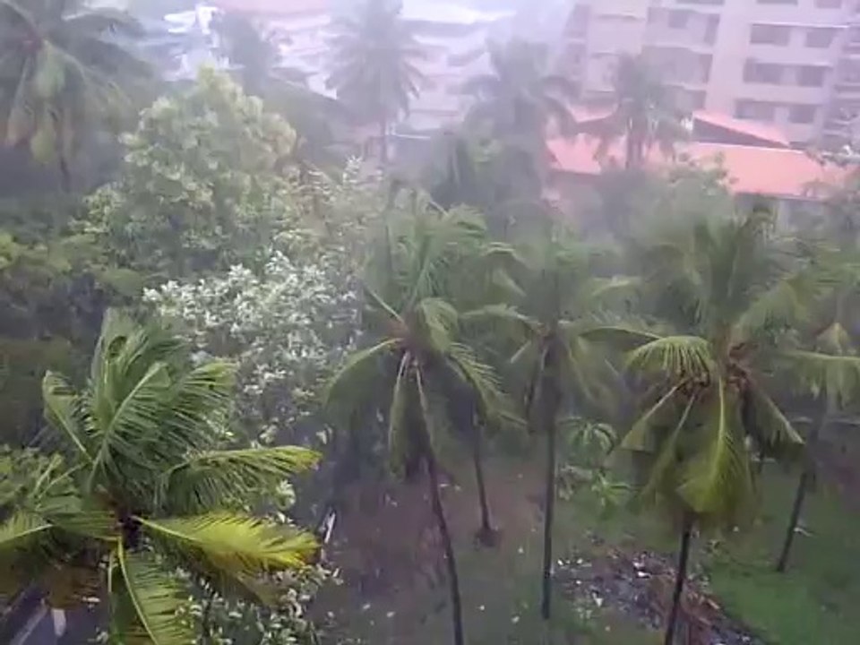The Rains Have Picked Up