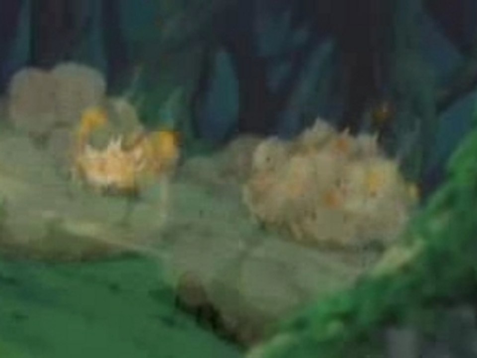 Naruto - Halo