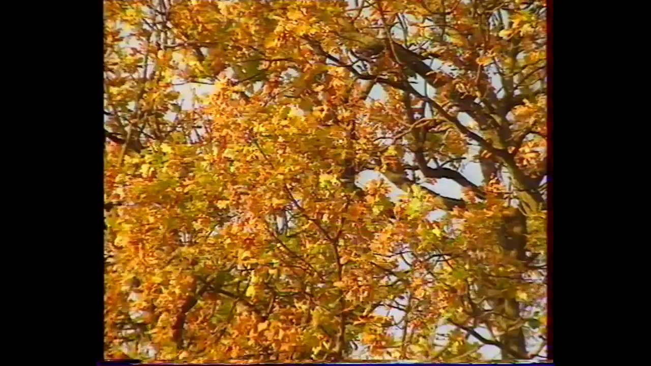 La pompe à injection diesel Lucas EPIC, PSA Peugeot Citroën XM 605 406 Xantia