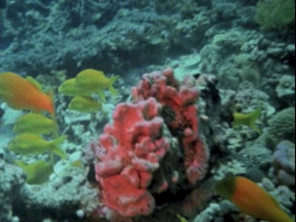 Paradise - Liebesszene