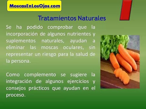 Moscas Oculares Como Eliminarlas : Como Curar Las Moscas Oculares De Forma Segura