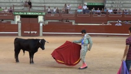 BECERRADA POPULAR EN LAS FIESTAS DE LEGANÉS 2014