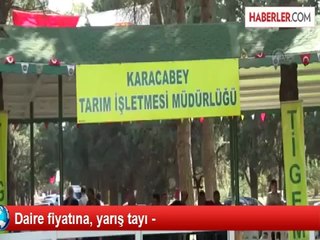 Daire fiyatına, yarış tayı -