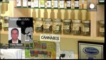 Usa, boom degli investimenti nella cannabis per uso medico