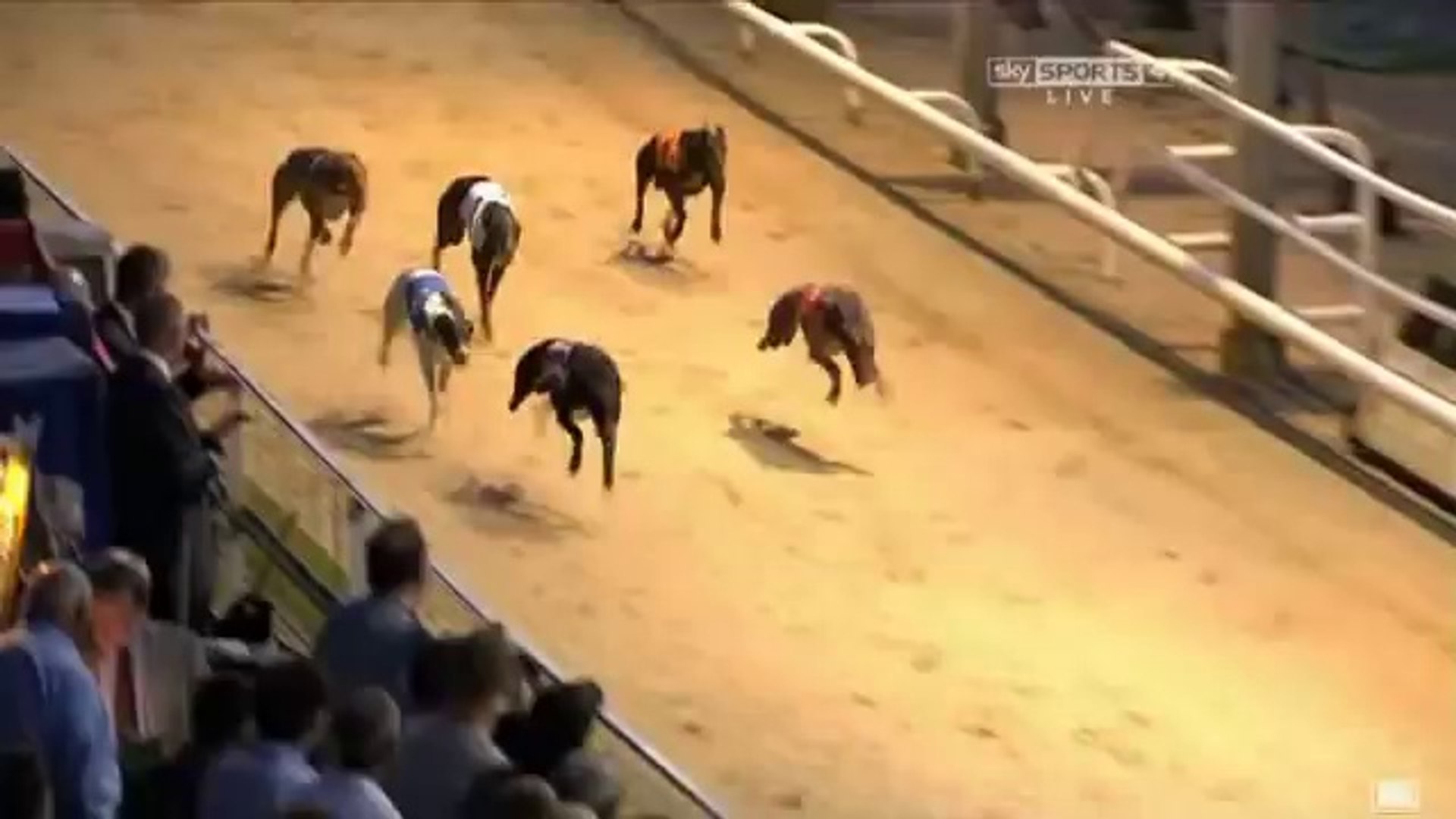 race