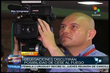 FARC: commission will deal with issues like cease fire and disarmament