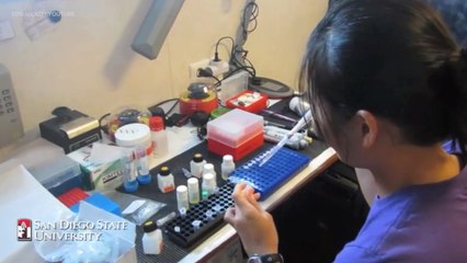 Sequencing DNA on the High Seas is Harder Than it Looks