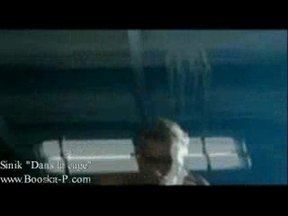 Sinik-Dans La Cage-