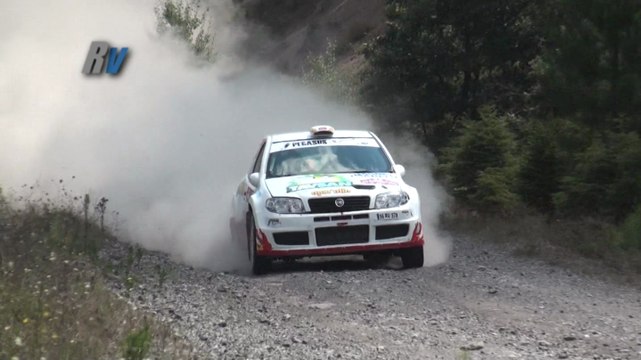 2014 AVIS Boğaziçi Rallisi / Murat Soyçopur - Bora Yılmaz / Fiat Punto S1600