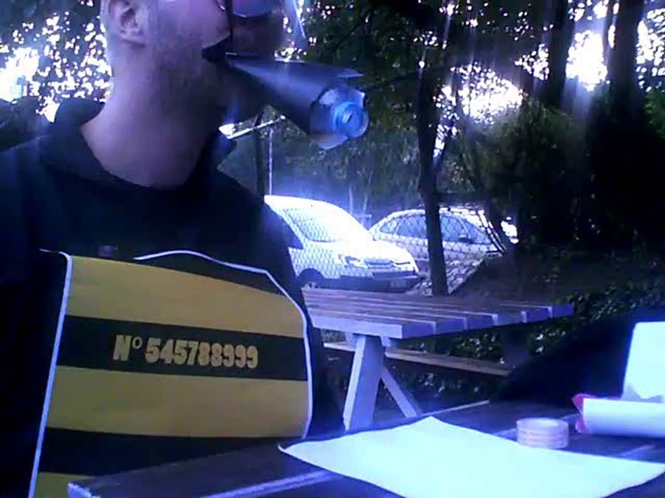 La guêpe est le prisonnier