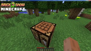 Minecraft- How to Make A Crafting Table
