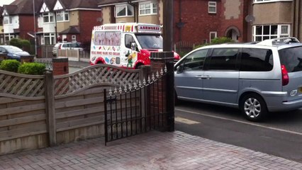 Ice Cream Van at My House 3