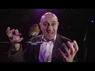 Jim Al-Khalili and the Quantum Robin