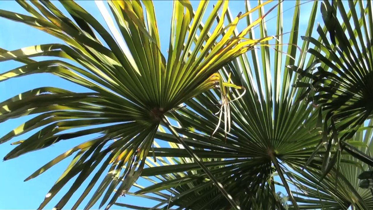 Les Terres Rouges - Randonnée avec Ronan Pouliquen - 50 HL DVD  Chez Debowska Productions : www.debowska.fr