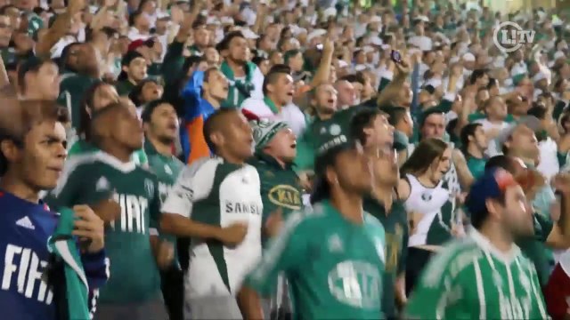 'Ser palmeirense é...' Torcedores descrevem sua paixão Alviverde