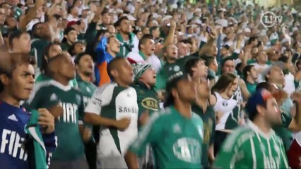 'Ser palmeirense é...' Torcedores descrevem sua paixão Alviverde