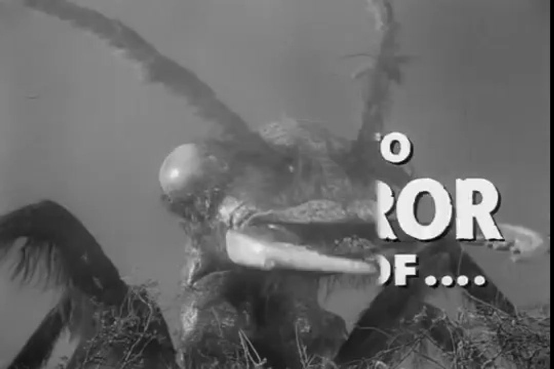 The Black Scorpion