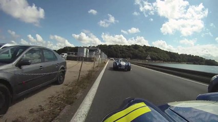 Cobra Club de France : sortie Bretagne Août 2014