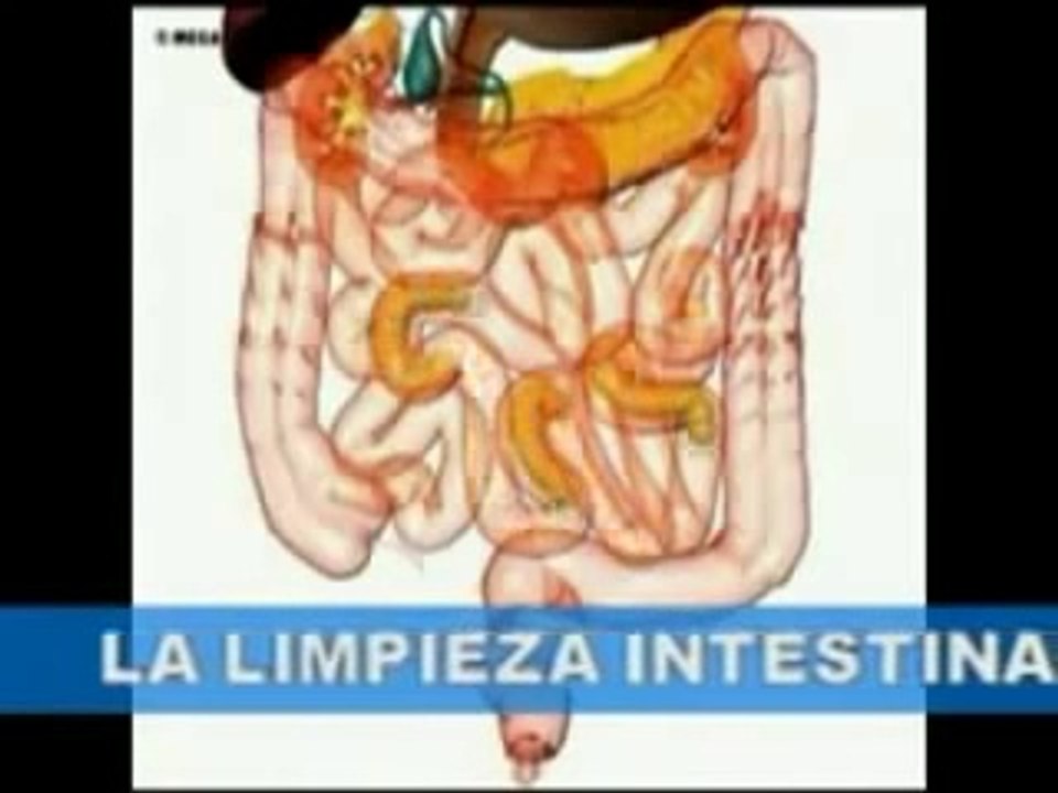 A Limpeza Intestinal-rafael rocha
