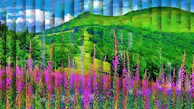 ŞEVVAL SAM ANDER SEVDALUK