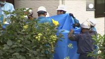 Al menos 36 muertos y 7 desaparecidos por un corrimiento de tierras en Japón