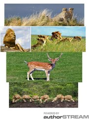 Suhail Tours Vacation Expert