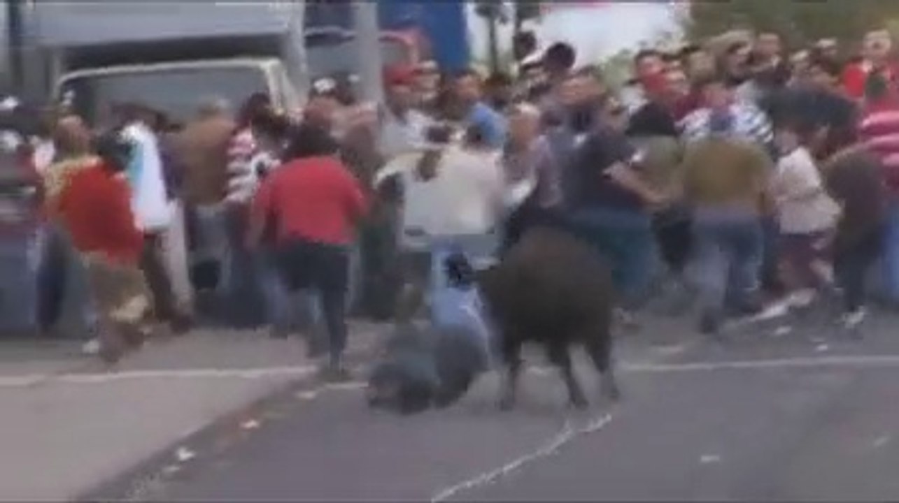very very funny video in my life