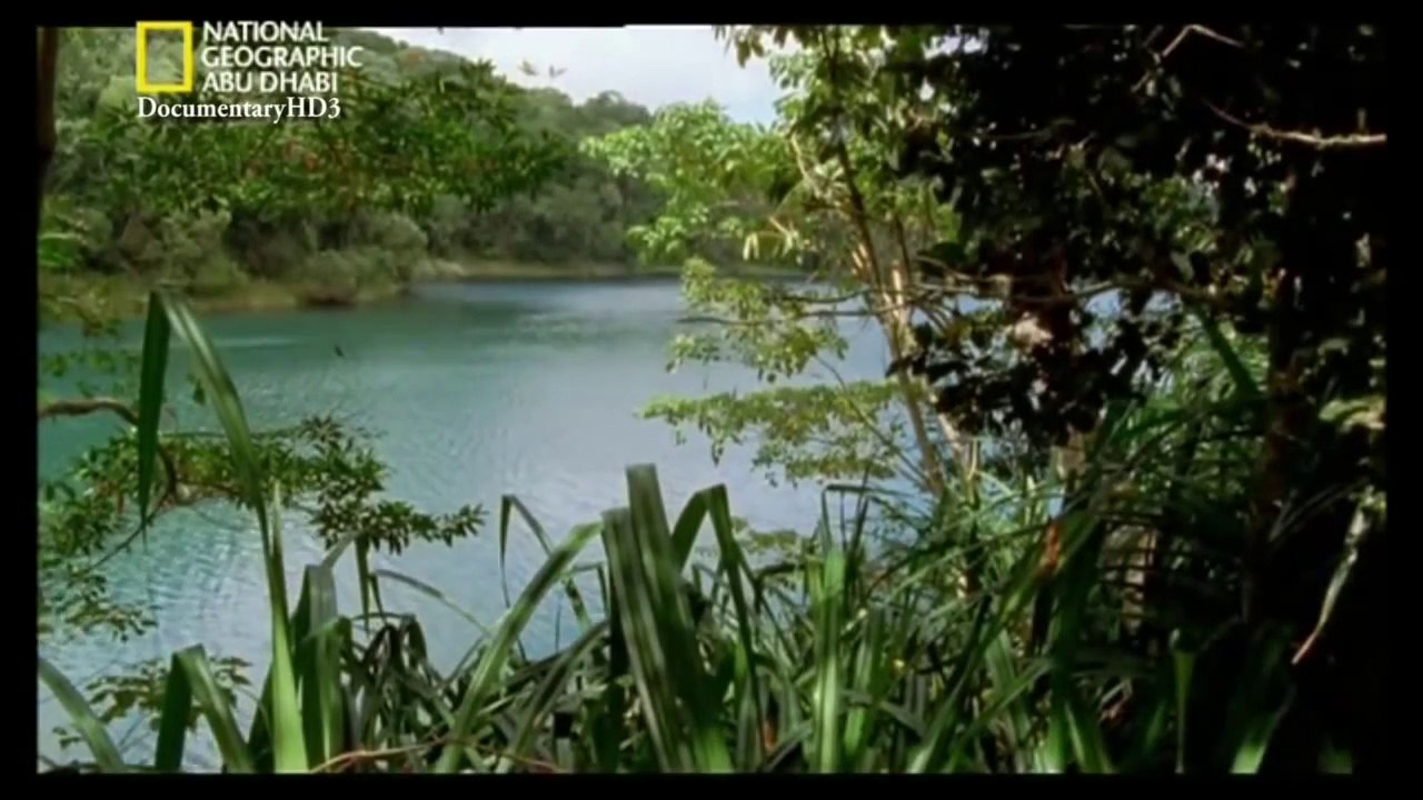 #وثائقي _ أسلحة البراري _ ما هو سُمُكَ ؟ HD