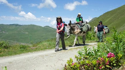 Randonnée en Valais - été 2014
