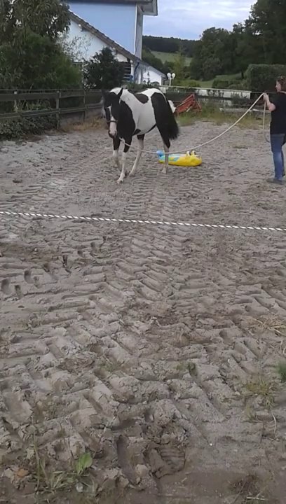 Dolly et le bateau 2