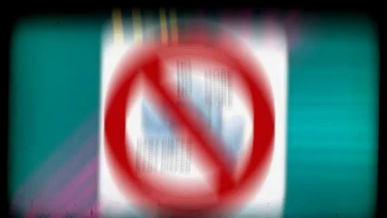 Guide to Starting Potty Training for Dogs