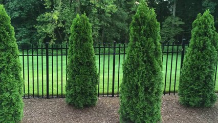 Cliff Bleszinski affronta l'Ice Bucket Challenge per ALS