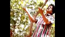 Gunde Chedirina Varini - Telugu Jesus songs