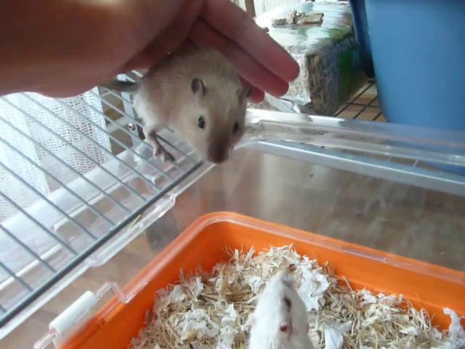 Olive et le goût de la liberté