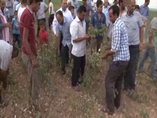 ELEKTRIK YOKSA URUN DE YOK