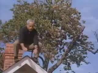 Richard Dreyfuss in "Silent Fall" 1994 Movie Trailer