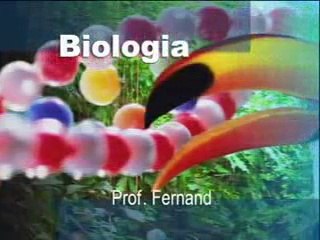 BIOLOGIA INTERFASE, MITOSE E MEIOSE