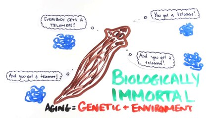 The Science of Aging