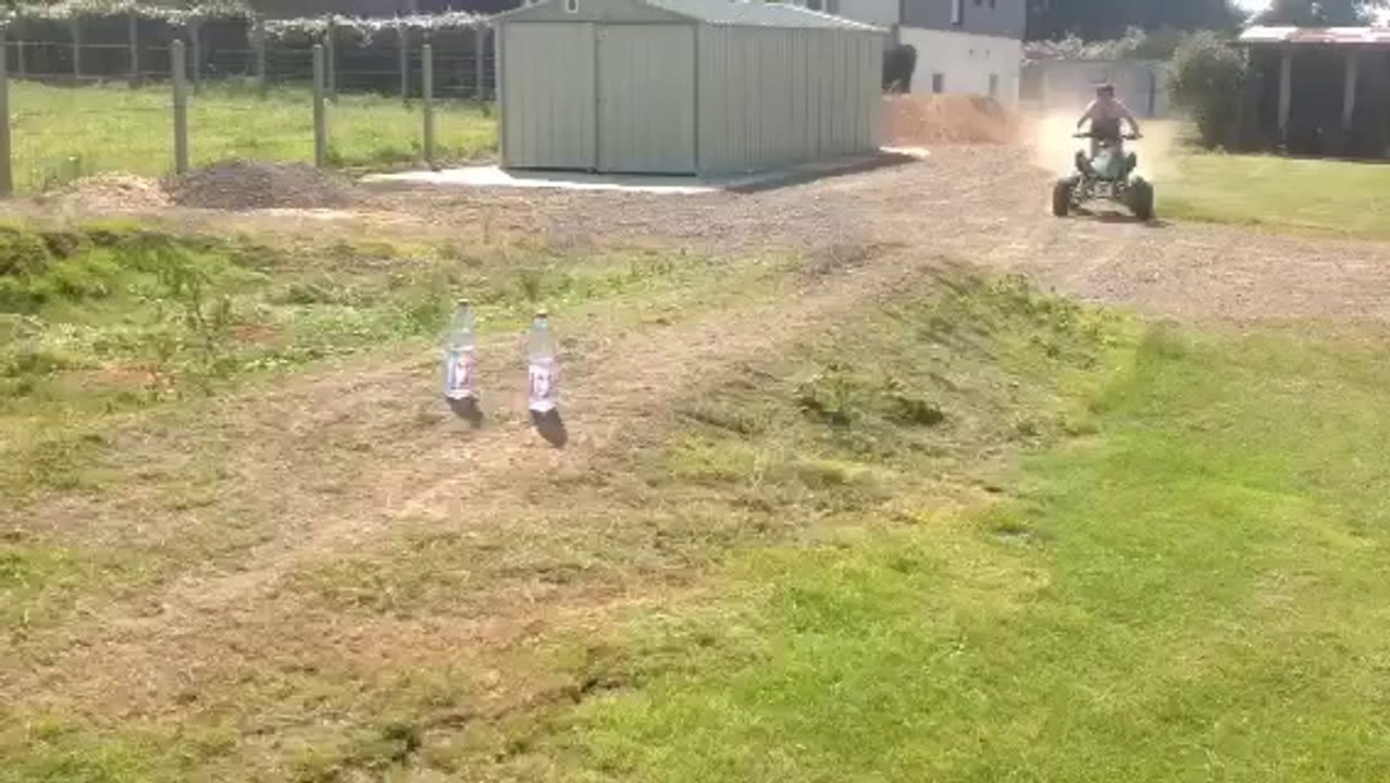 quad speedbird 110 maxfire
