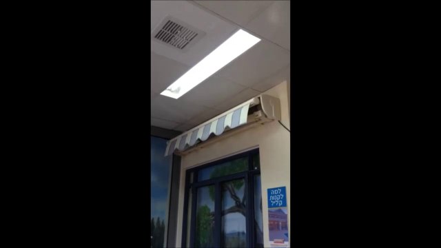 topas אלום חיפה דגם