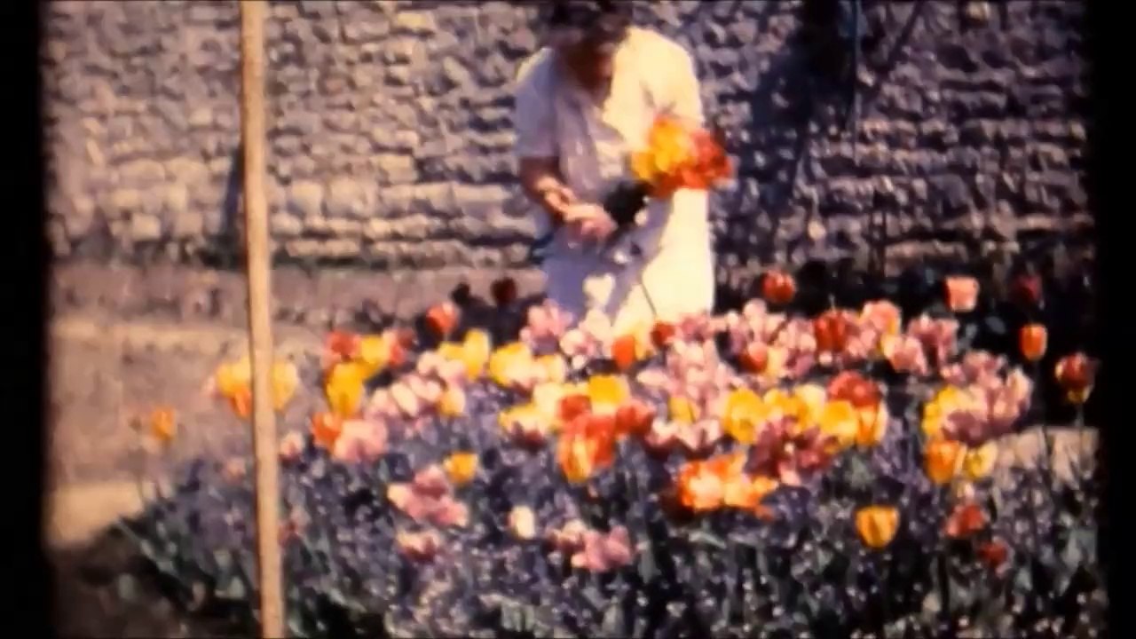 film16d film famille