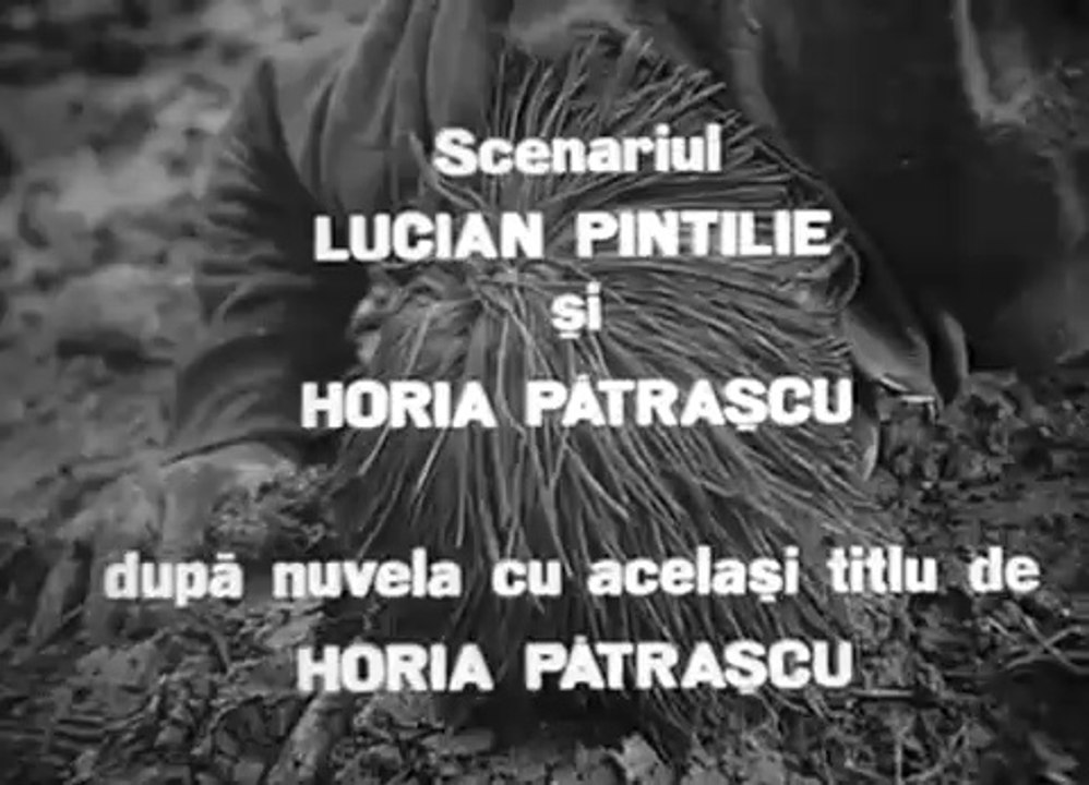 reconstituirea