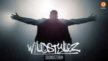 Wildstylez - Soundstorm (Preview) [HD HQ]