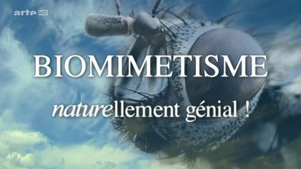 Biomimetisme Naturellement Genial, Les Materiaux du Futur