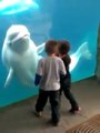 Un beluga joue avec des enfants