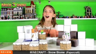 Papercraft - Minecraft Overworld Snow Biome Review