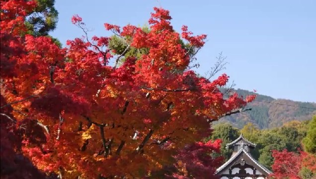 天龍寺＠京都の画像集　Tenryu-ji in Kyoto